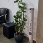Nosso Espaço Instituto Elemento