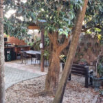 Nosso Espaço Instituto Elemento